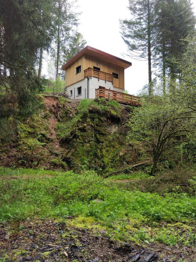Le Refuge Perche Du Saut De La Bourrique Spa, Terrain Cloture Gérardmer Exterior photo