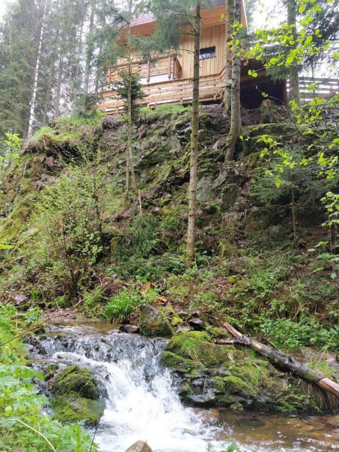 Le Refuge Perche Du Saut De La Bourrique Spa, Terrain Cloture Gérardmer Exterior photo