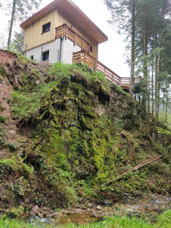 Le Refuge Perche Du Saut De La Bourrique Spa, Terrain Cloture Gérardmer Exterior photo