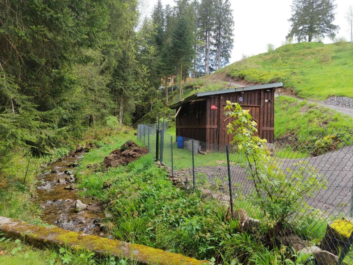 Le Refuge Perche Du Saut De La Bourrique Spa, Terrain Cloture Gérardmer Exterior photo