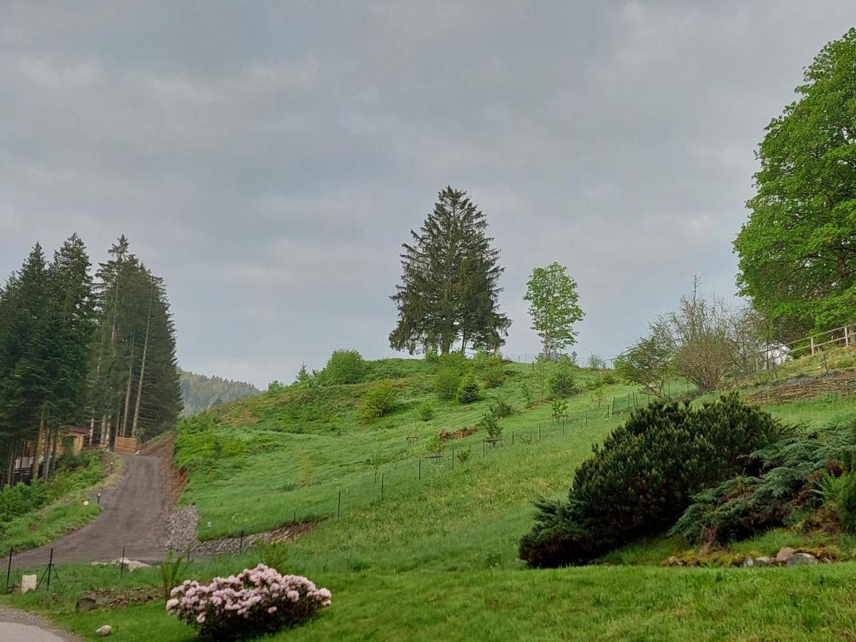 Le Refuge Perche Du Saut De La Bourrique Spa, Terrain Cloture Gérardmer Exterior photo